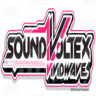 Sound Voltex 5 - Vivid Wave Arcade Machine (Offline Version)